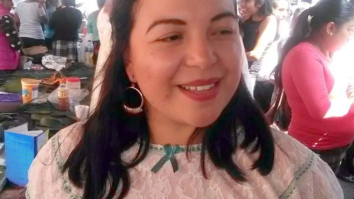 Elaboran docentes libros