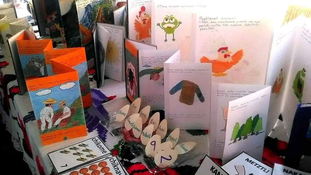 Elaboran docentes libros