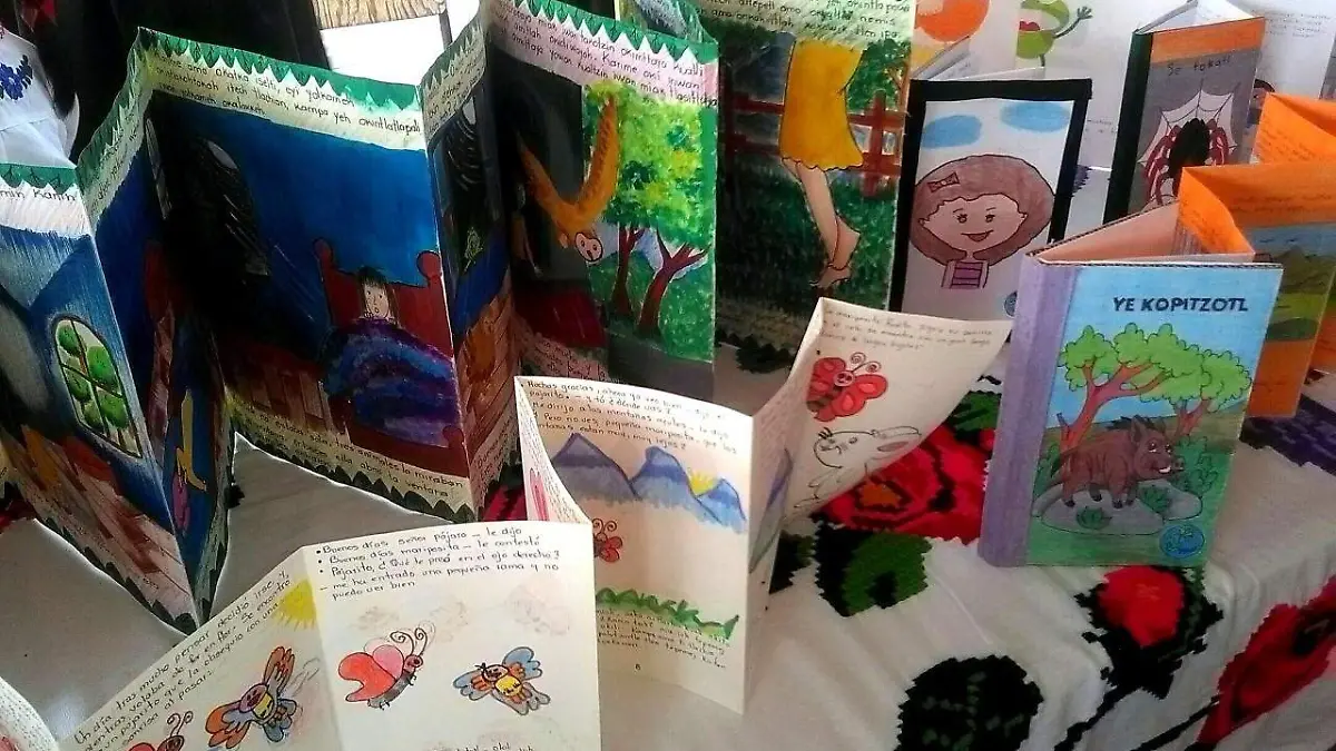 Elaboran docentes libros