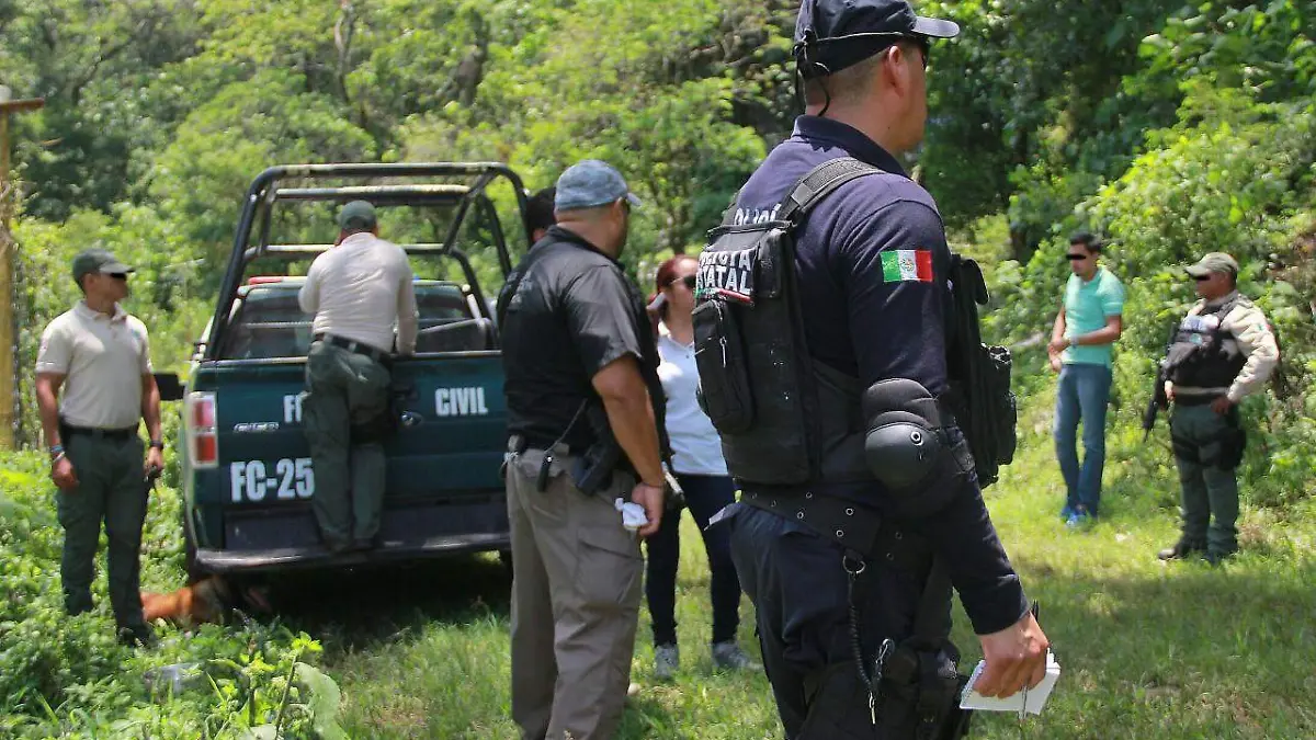 1c18b06c-efef-42a2-a823-d209f659e691