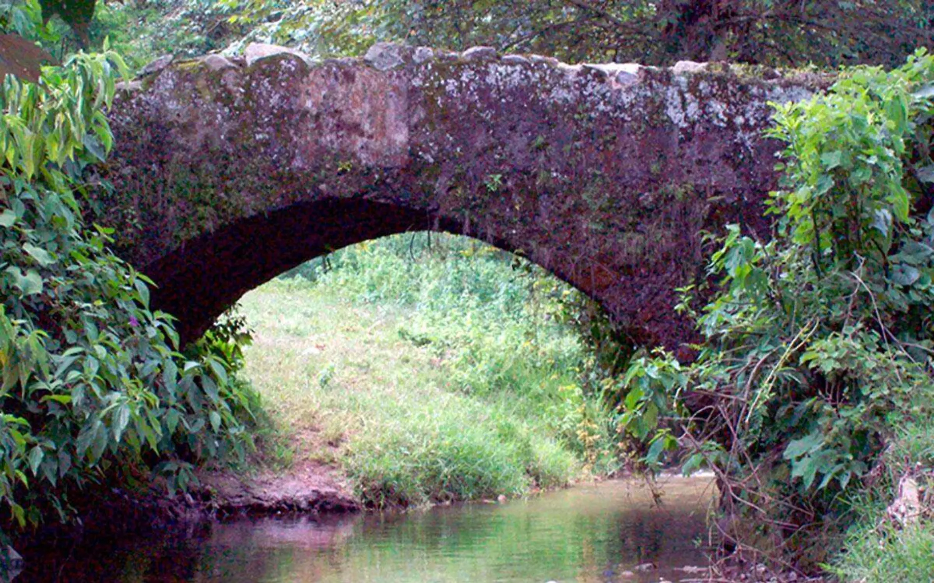 Foto-puente-Huatusco-Facebook-Miguel-Ángel-Flores