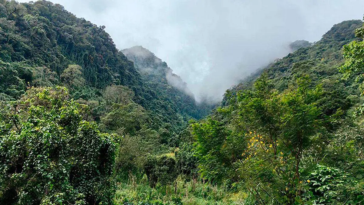 Cerro-Tlachinoltepetl-en-Veracruz-2