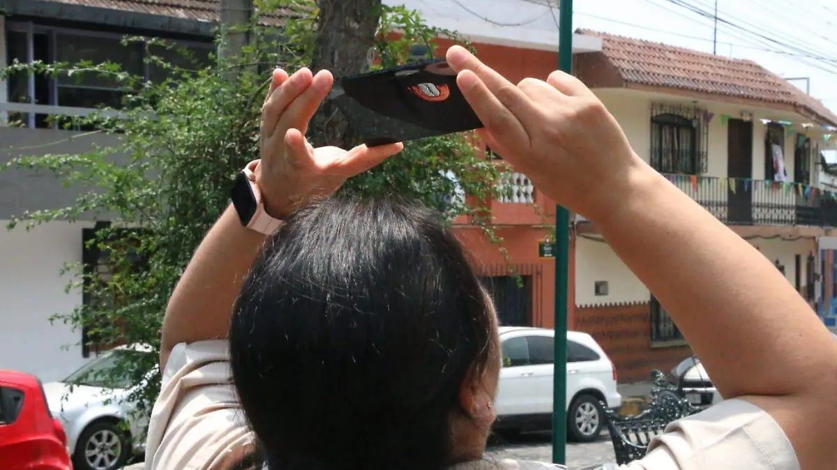 WhatsApp Image 2024-04-08 at 12.23.51