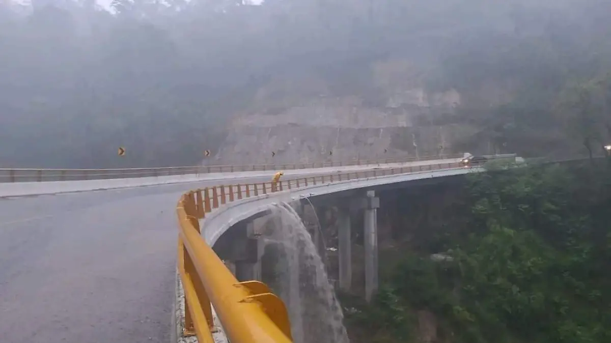 WhatsApp Image 2024-06-23 at 10.29.20