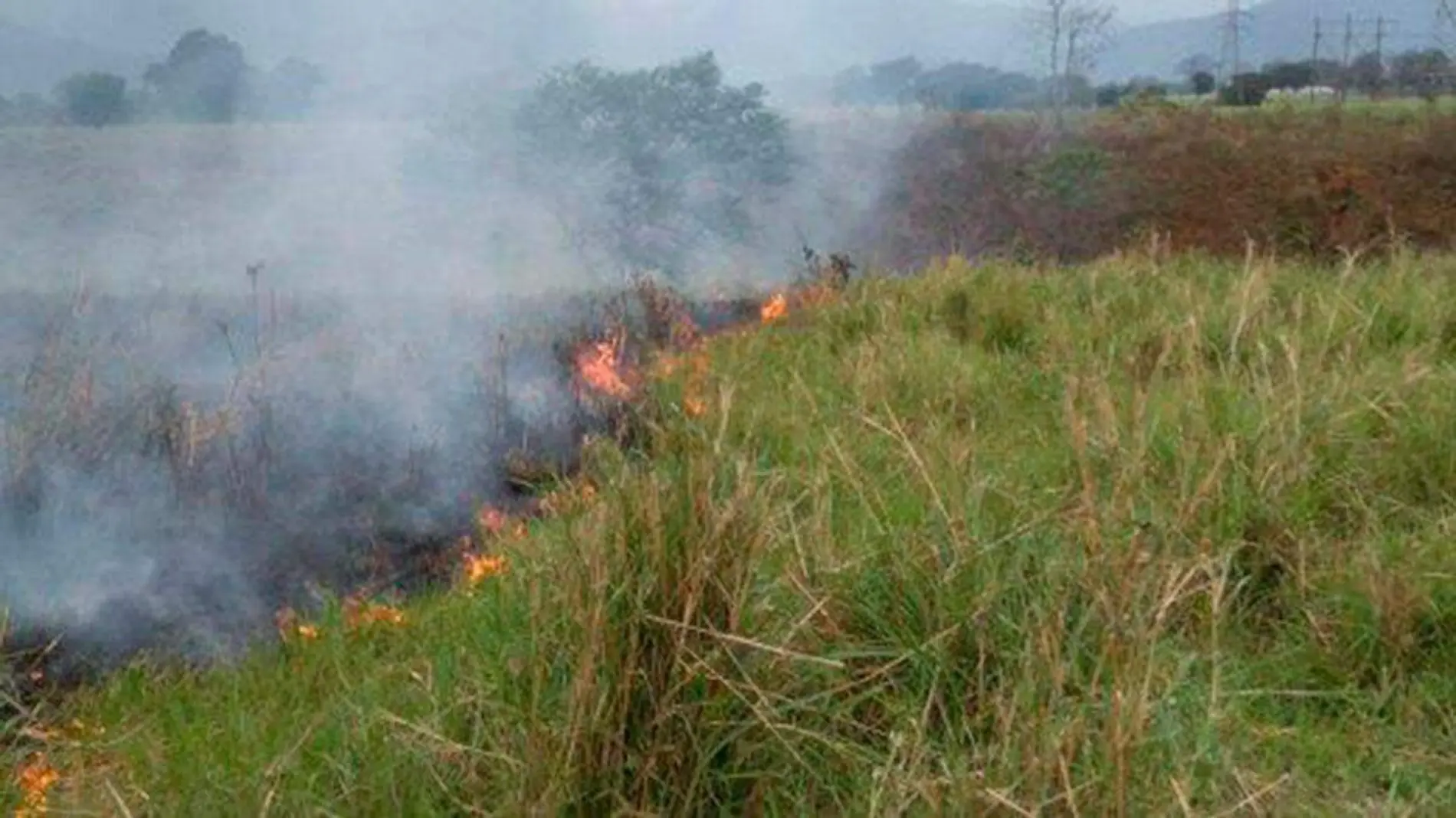 incendio-pastizal