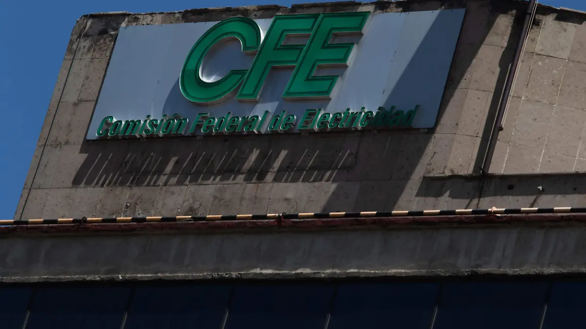 948751_Comisión Federal de Electricidad-2_impreso