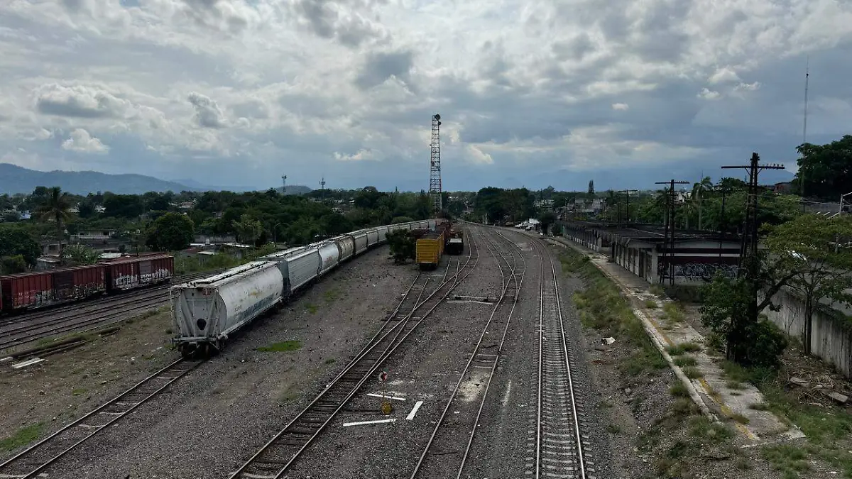 WhatsApp Image 2024-10-06 at 17.45.06