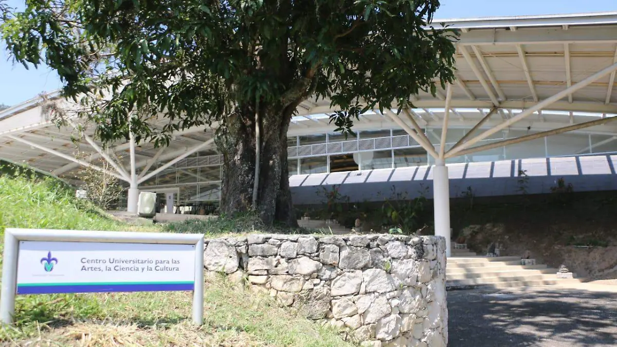 WhatsApp Image 2024-02-21 at 12.47.18