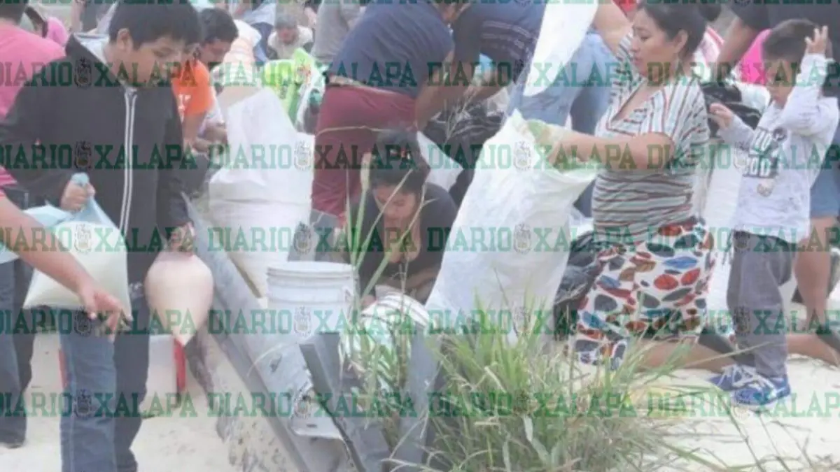 rapiña diario
