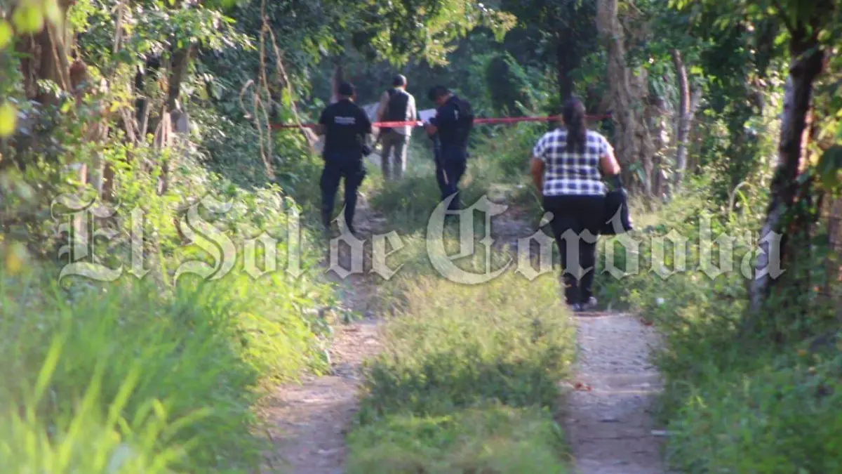 2e7c5a24-3f0c-4518-a5cf-e3d240e089c4