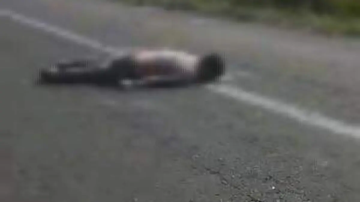 65fd40be-fce6-4287-beb9-2cec49772e92