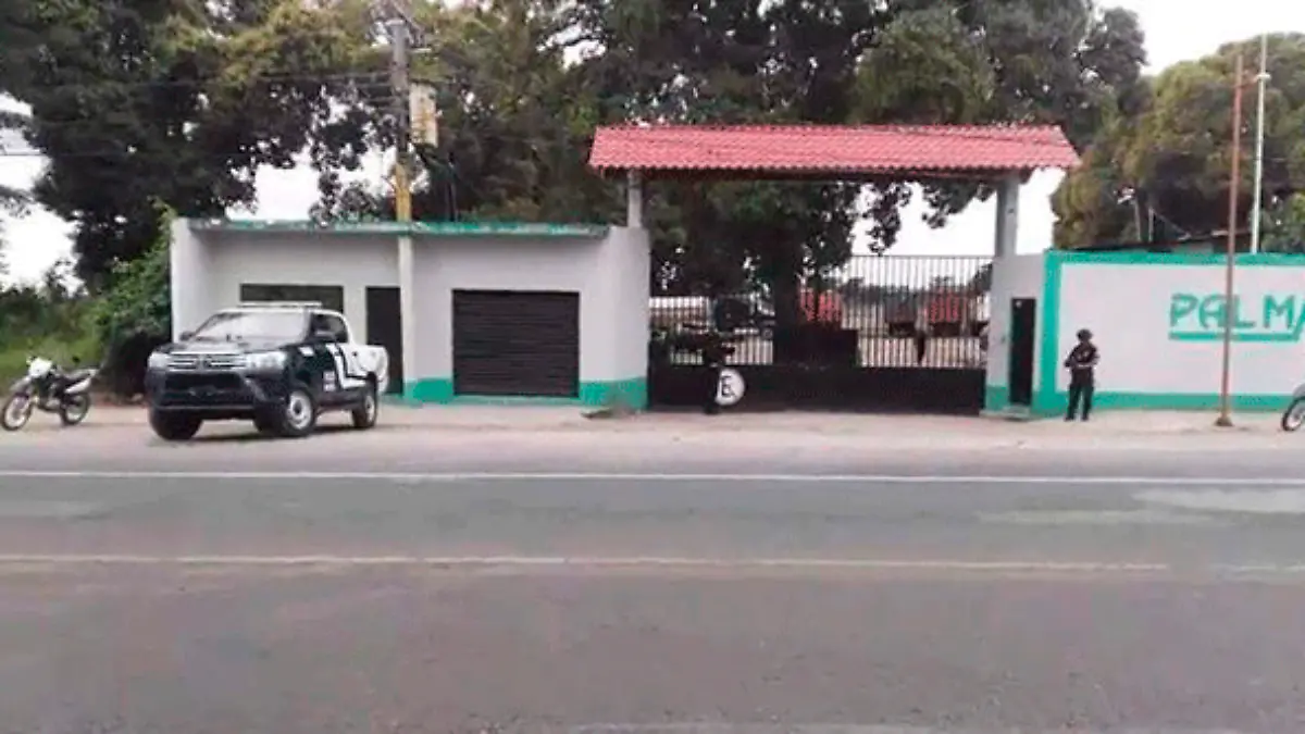 Yanga2
