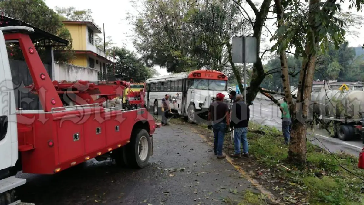 WhatsApp Image 2019-01-06 at 11.03.26 AM (1)