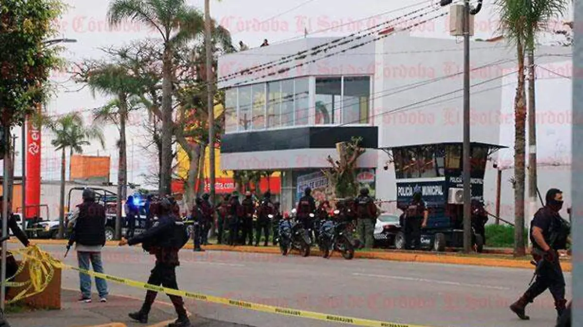 polimuertos6