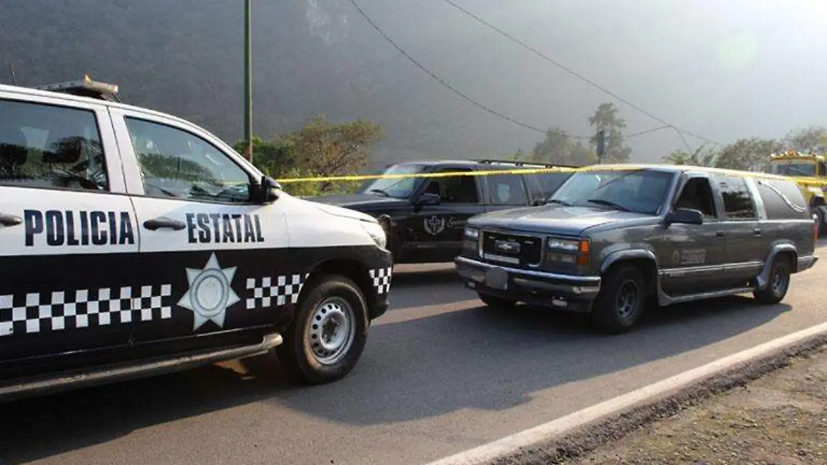 policiaestatak