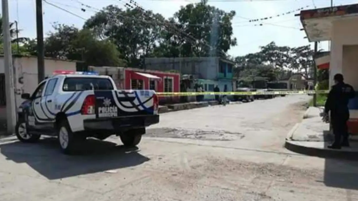 8fbd0209-1cc3-446b-b865-3f955cffec30