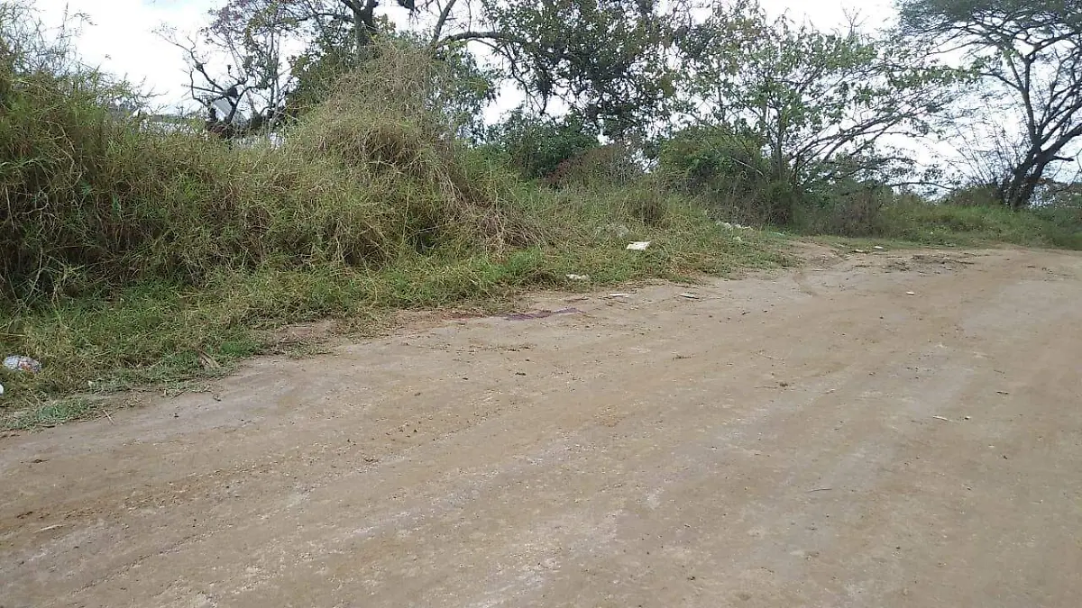 46ae6231-8801-441e-93fa-ba2f95a78ab7