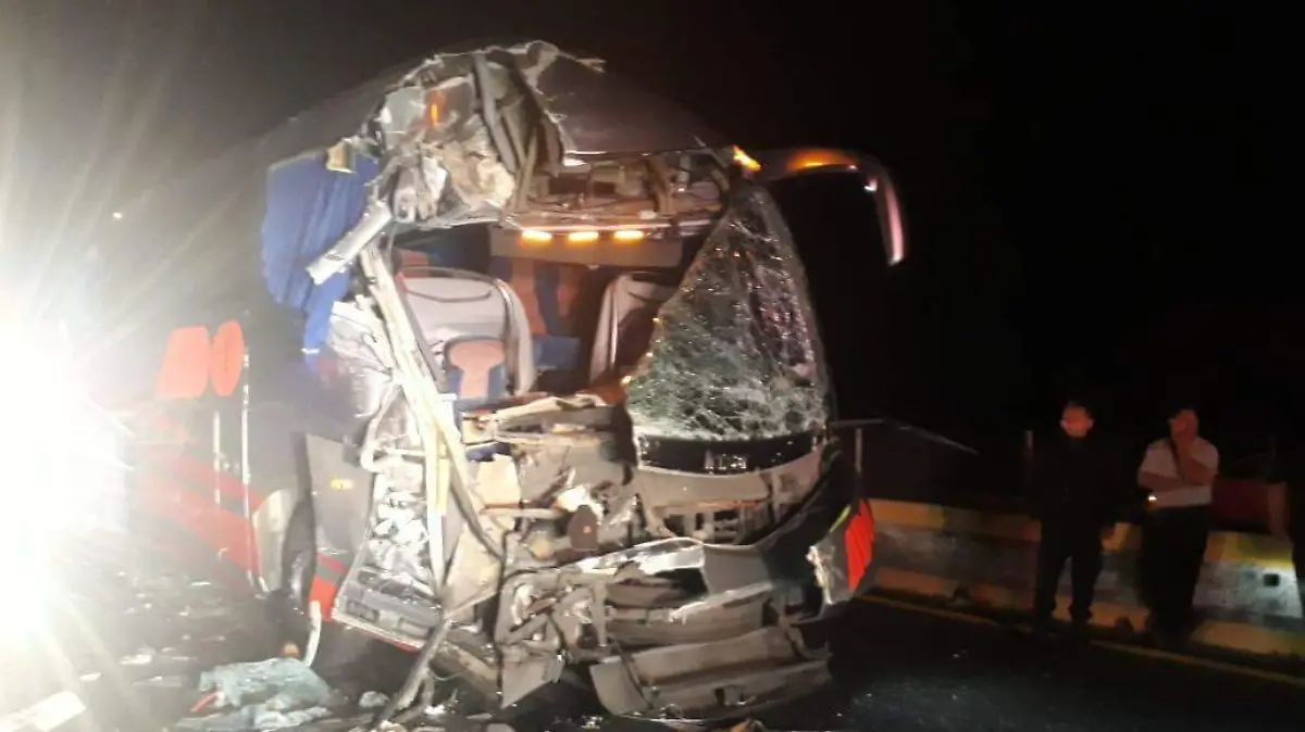 WhatsApp Image 2019-01-04 at 12.04.59 PM