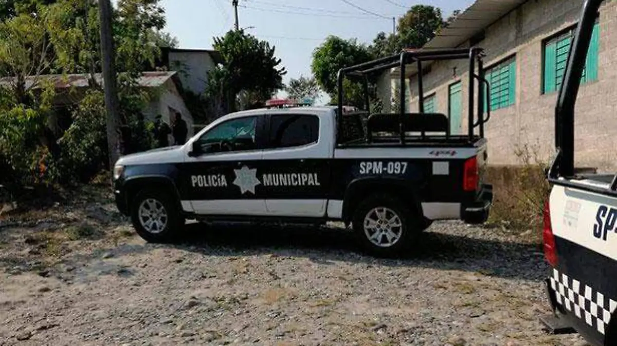 atropellado