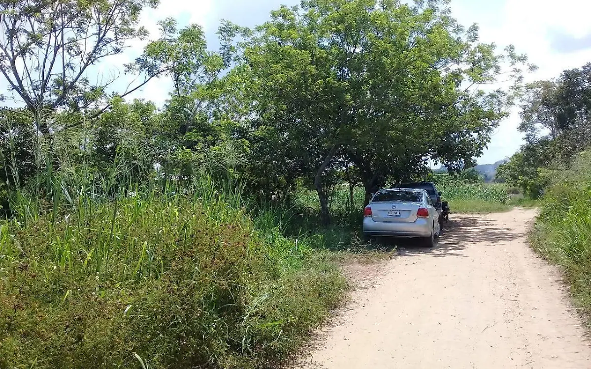 tuxtepec