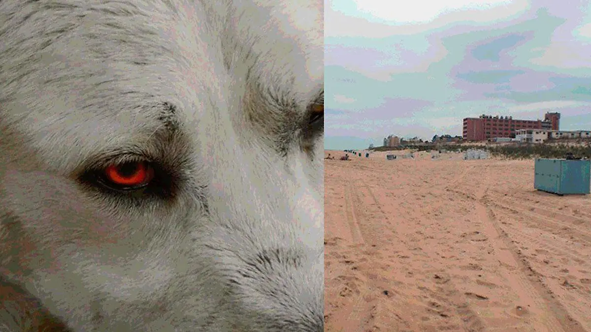 Leyenda-Medano-del-perro-de-Veracruz