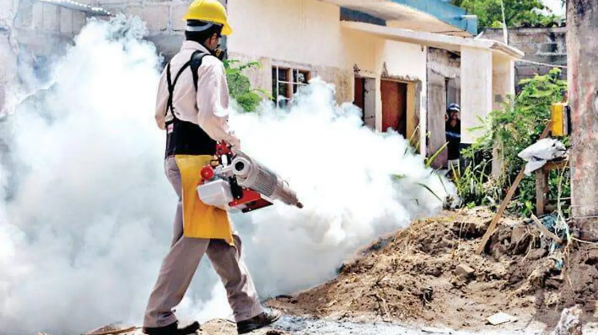 WhatsApp Image 2023-06-27 at 4.56.37 PM