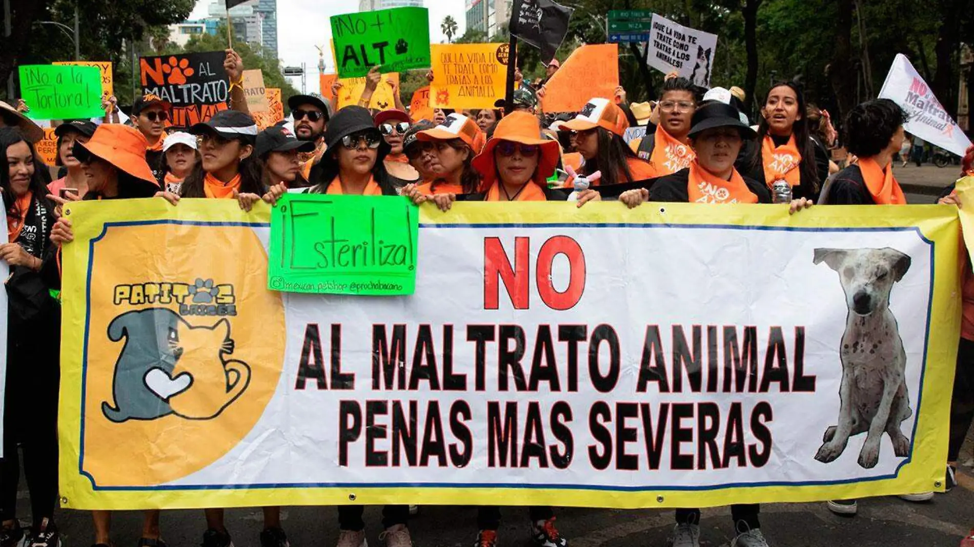 937101_Marcha-Defensa-de-los-Animales-9_web