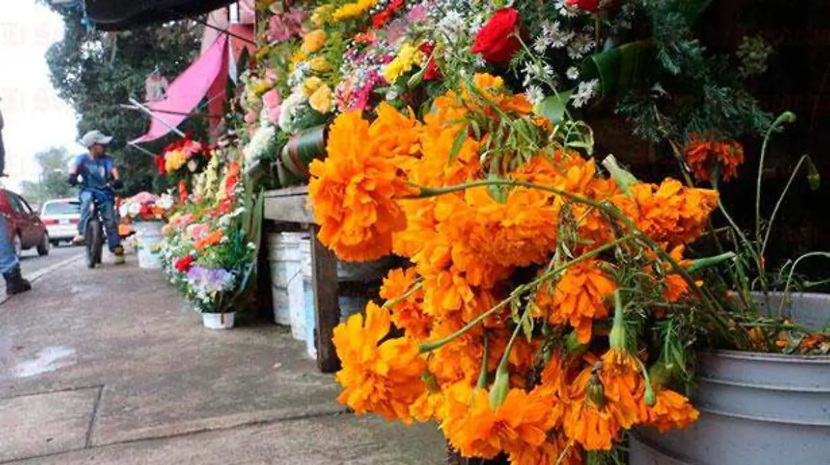 florista2