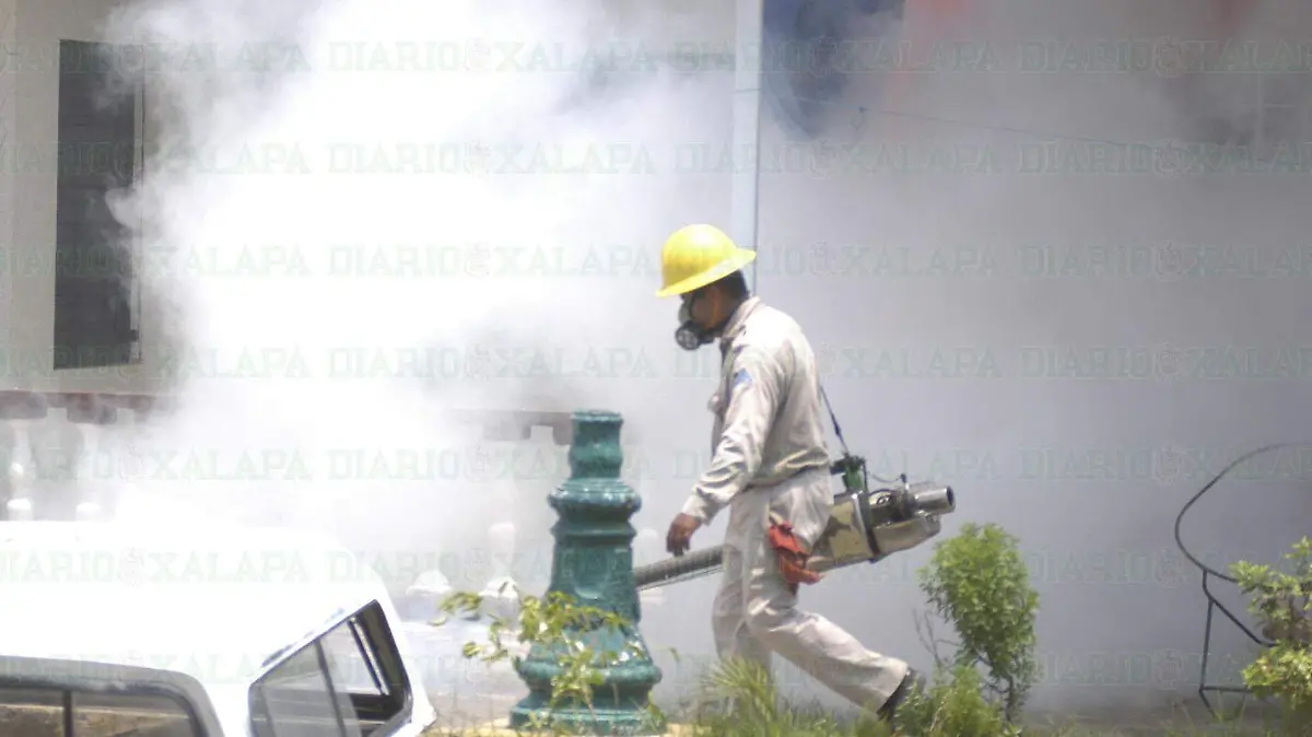 Dengue3
