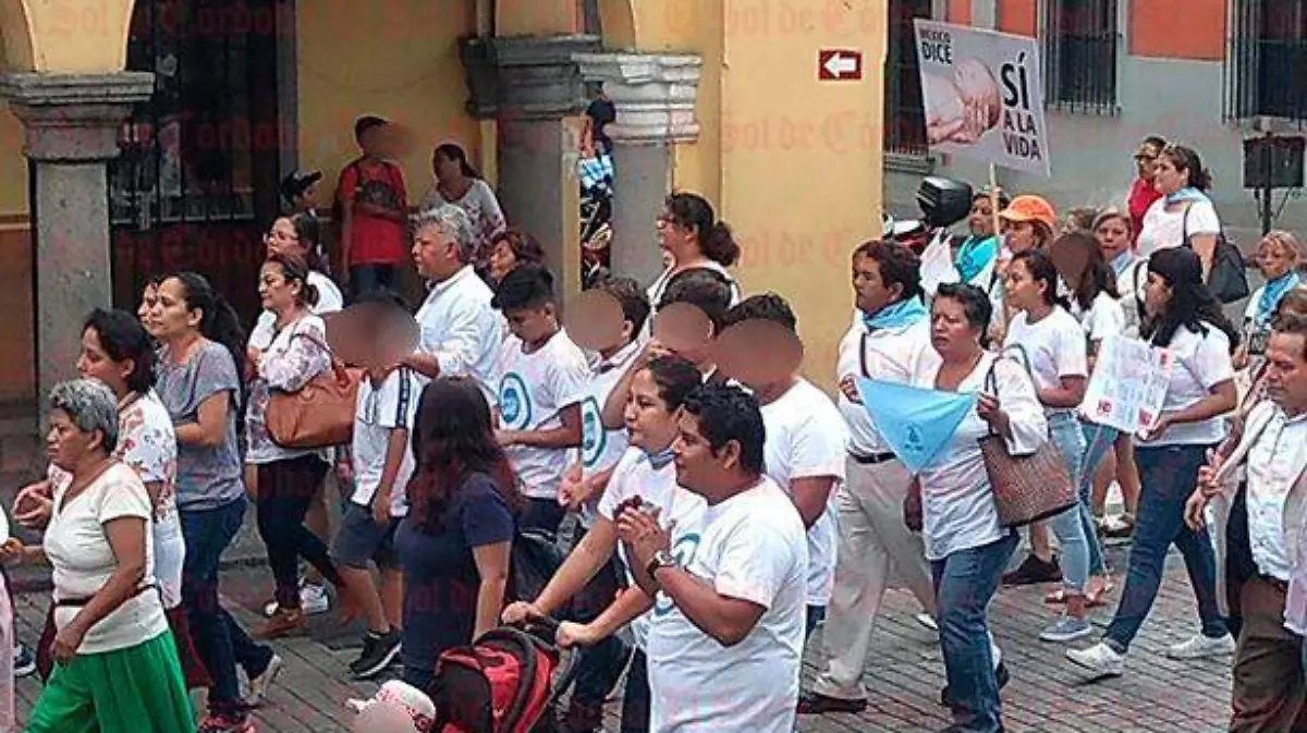 Provida1