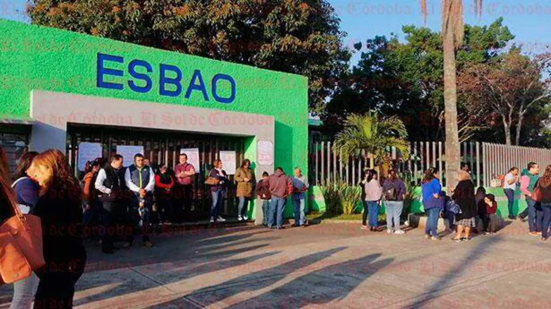 ESBAO3