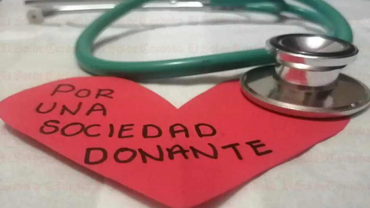 donación2