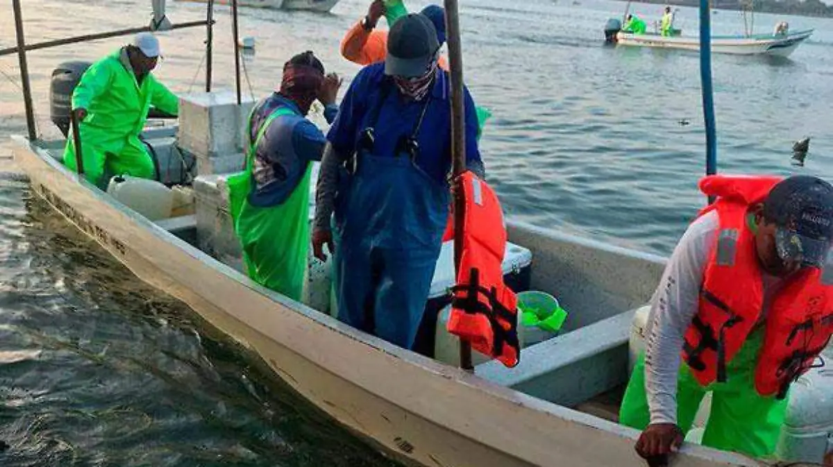 pescadores2
