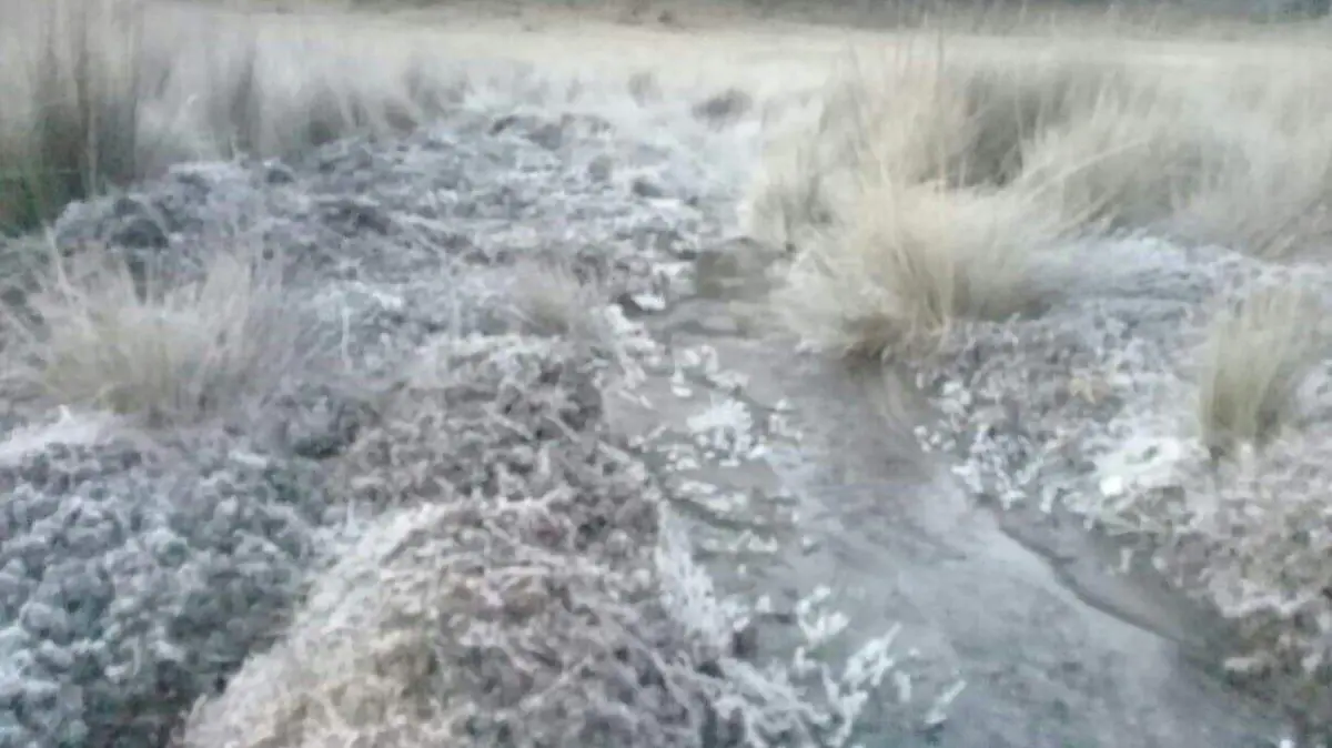 60b958f9-1777-4100-9d6e-ed9acfe08cbd