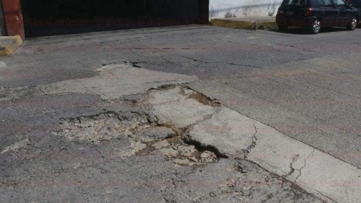 Baches