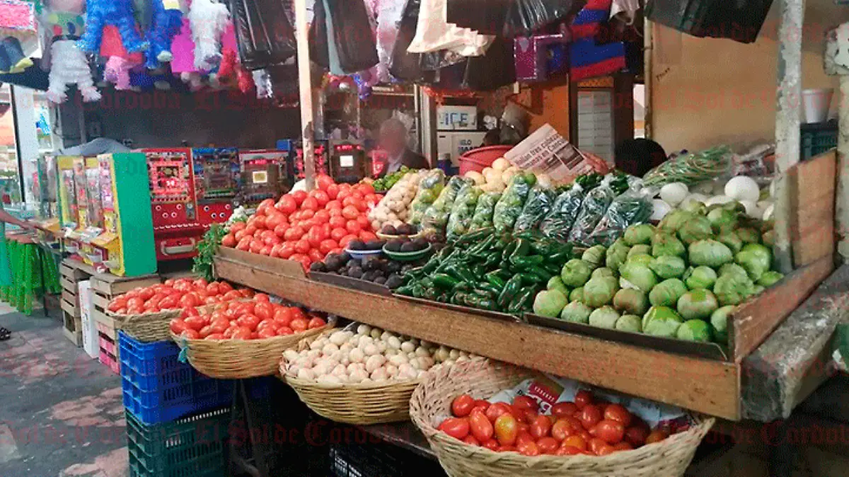 PRODUCTOS