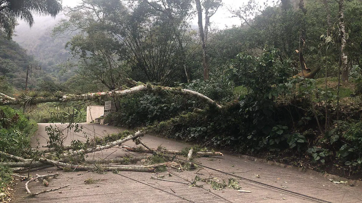 Afectaciones Frente Frío 35 en centro de Veracriz