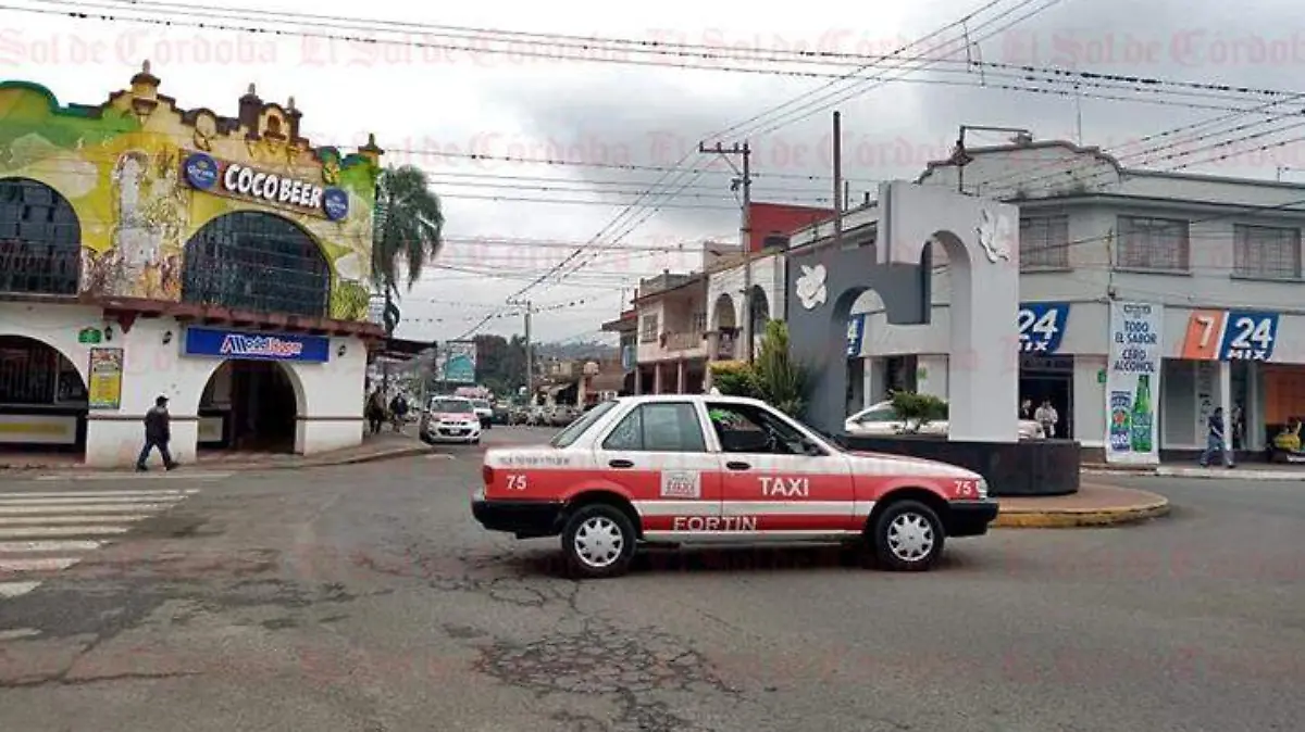 fortin5