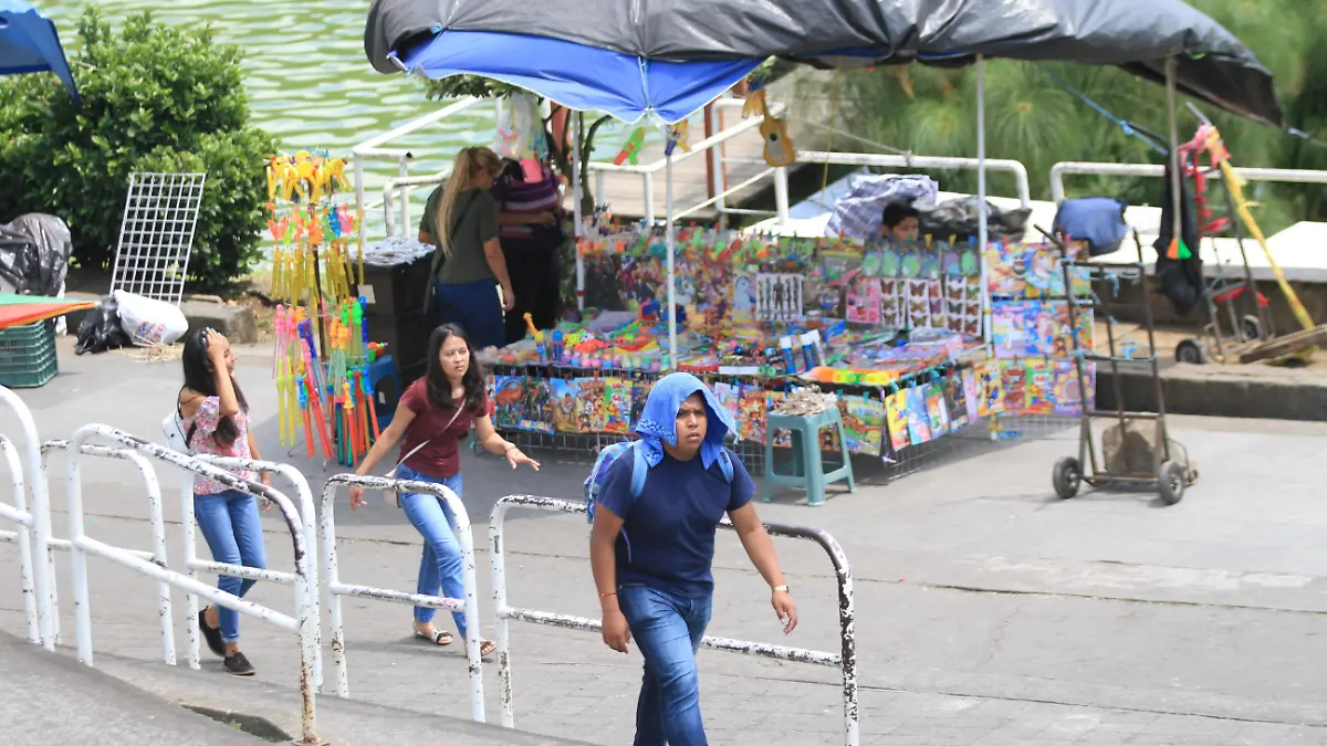 Ola de calor