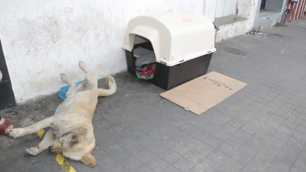 WhatsApp Image 2023-04-17 at 6.34.58 PM