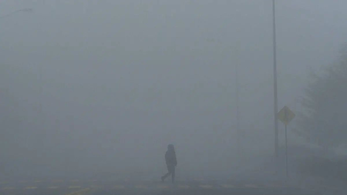 883386_Neblina en carretera -1_web