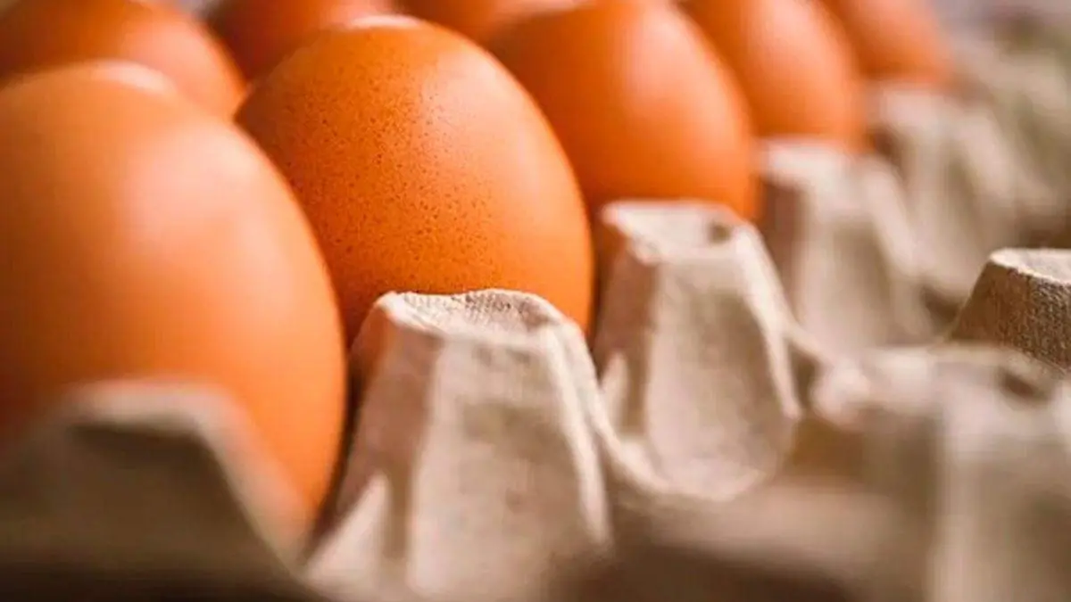 egg-7345934__340