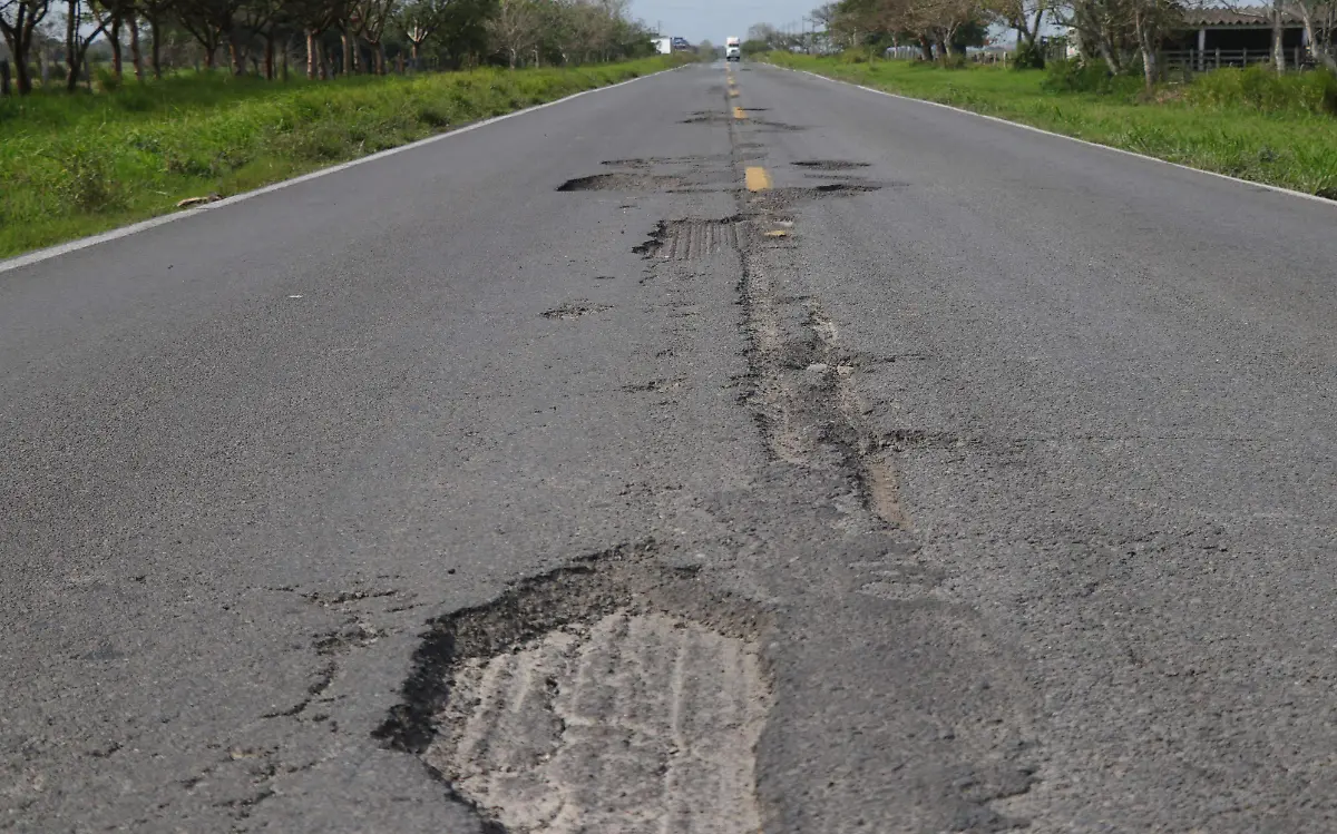 Bache