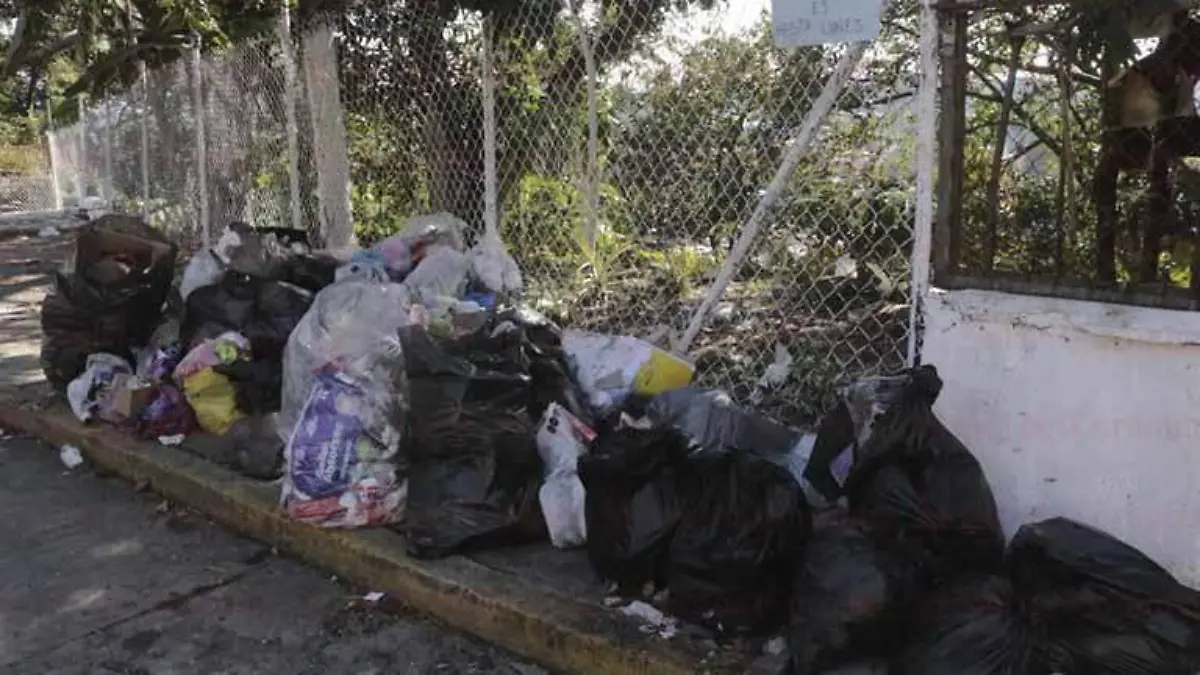 Alcalde morena2