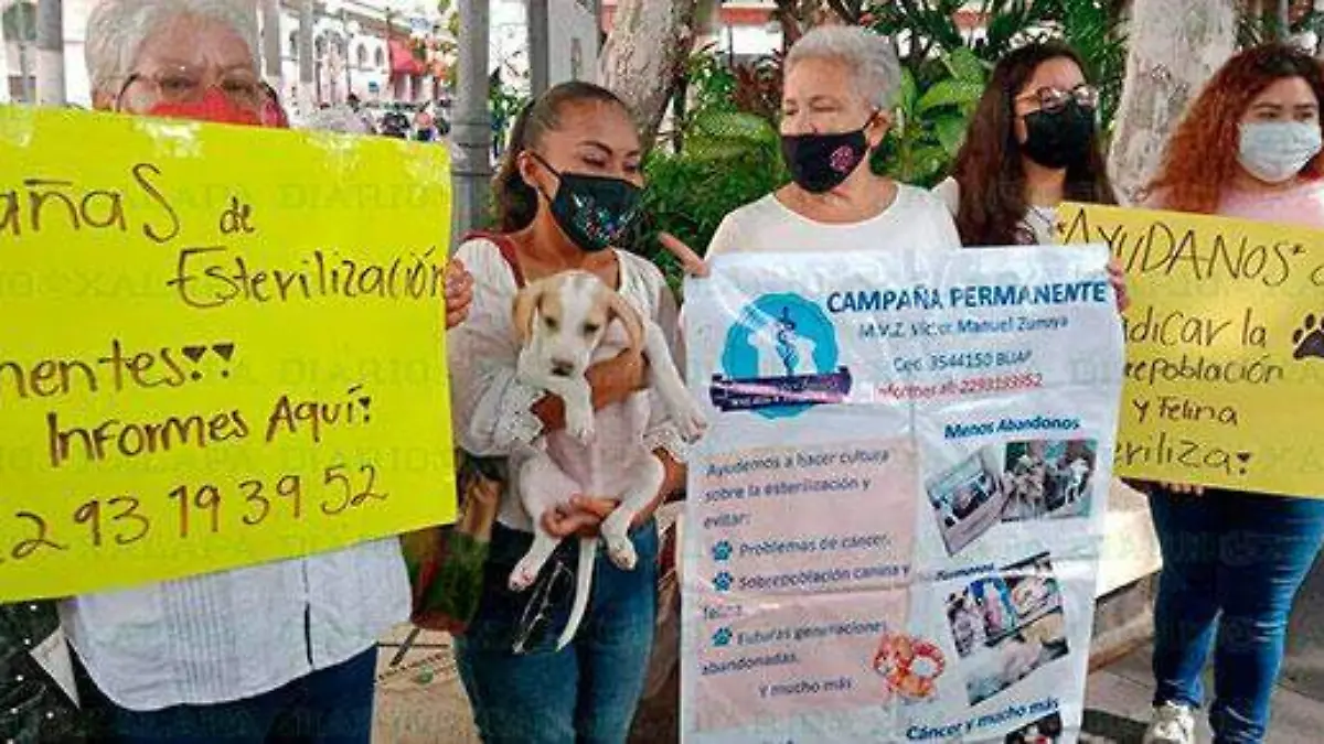 Carmen-Serna-invita-a-la--campaña-de-esterilización-canina-y-felina,-fotos-Raúl-Solis