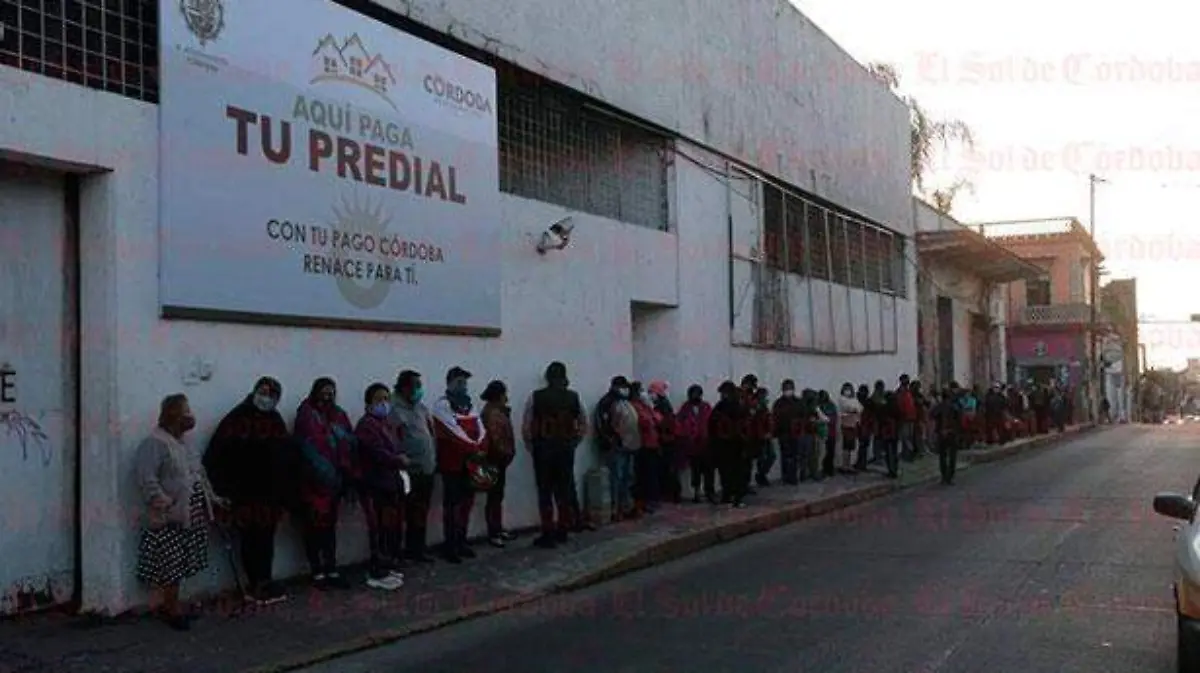 Predila-córdoba