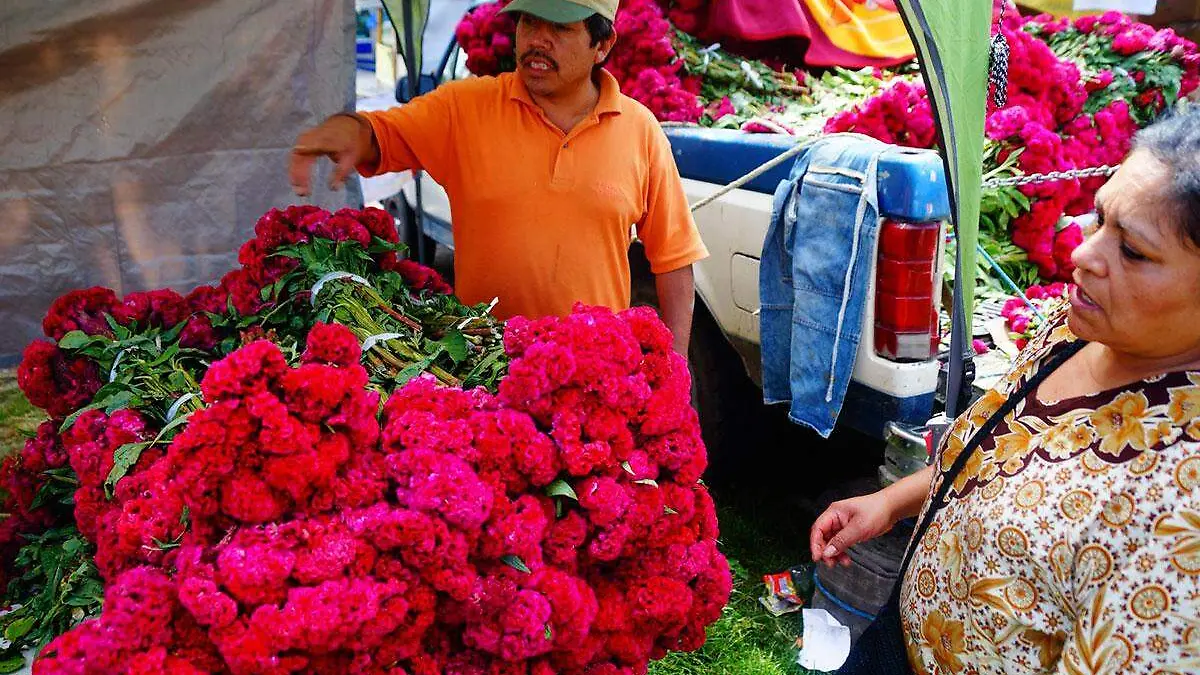 Podria-llegar-una-central-de-abastos-a-Coscomatepec-de-Bravo