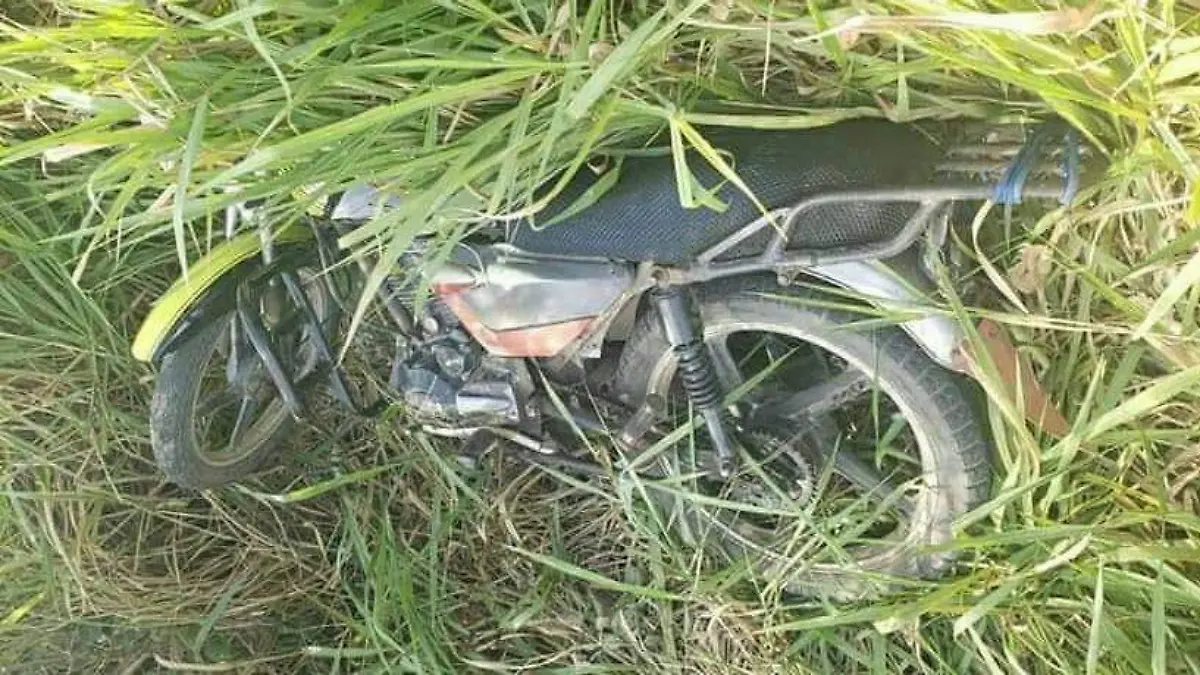 5d528bd2-c487-47b6-b8d7-b8580690aea5