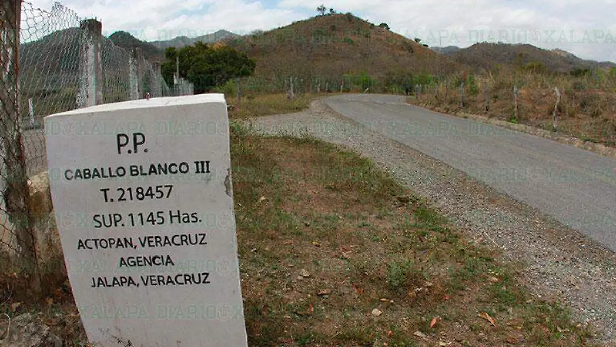 Minera