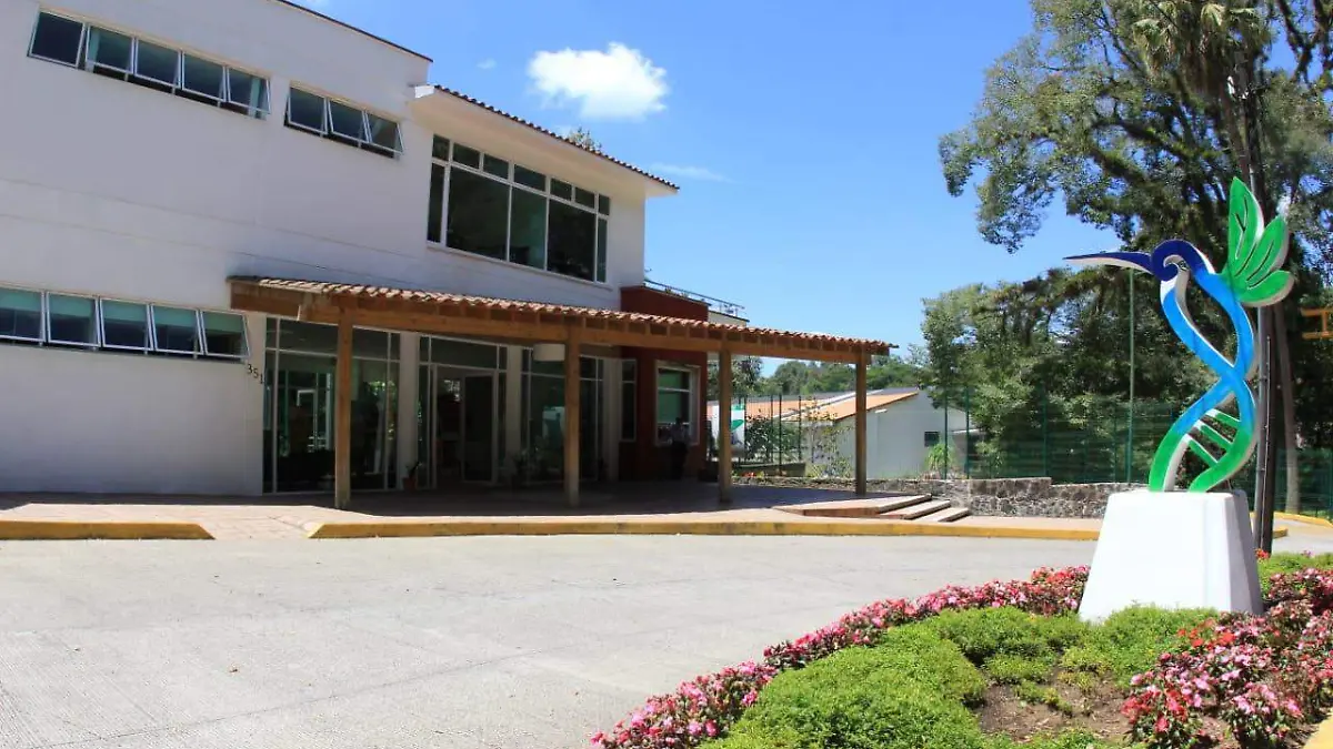 8980b0e8-75be-41c4-90de-2ff068917002